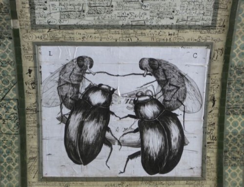 Torino streetart 1